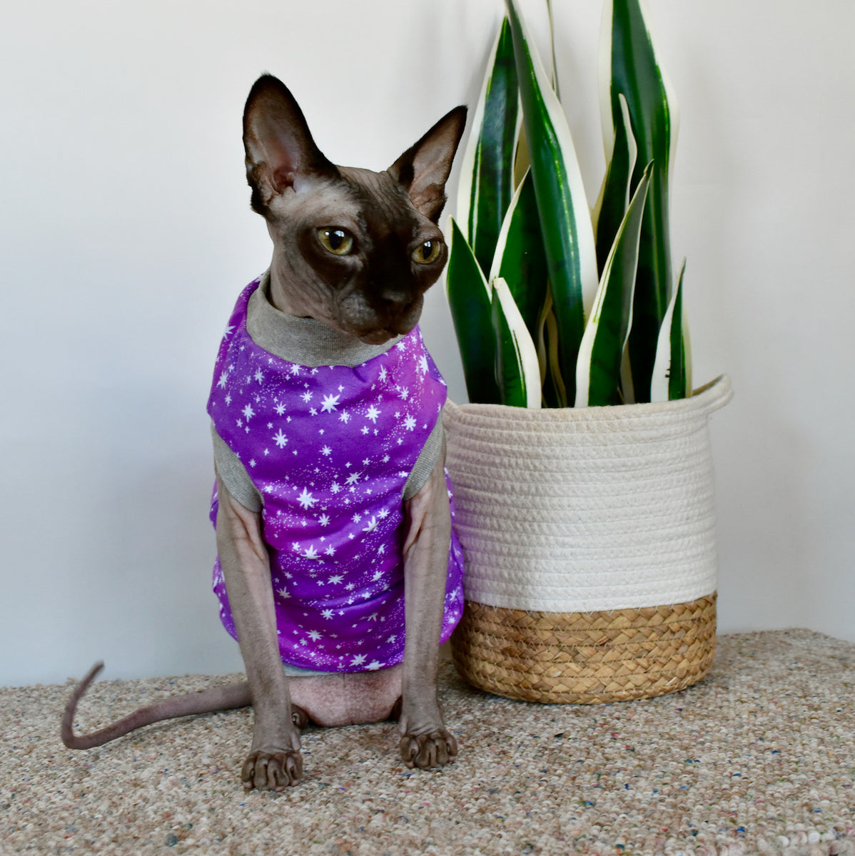 Sphynx Cat Clothing Hairless Hipsters Hairless Hipsters LLC.