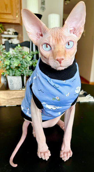 Sphynx Cat Clothes | Swan Style