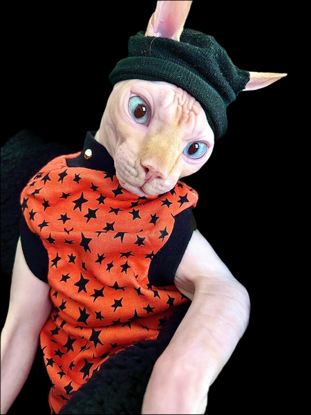 Sphynx Halloween Cat Clothing | Halloween Star Style