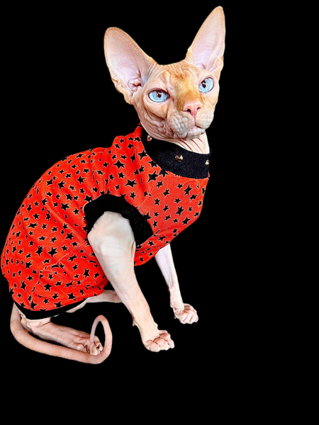 Sphynx Halloween Cat Clothing | Halloween Star Style