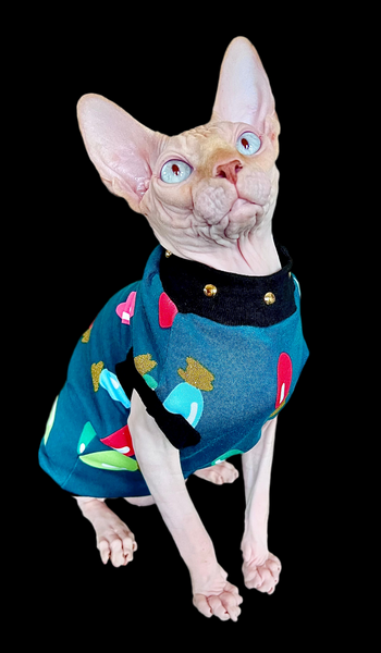 Sphynx Christmas Cat Clothes |  Lit (Studded Neckline ) Style