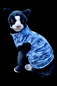 Sphynx Cat Clothes | Blue Monster Style