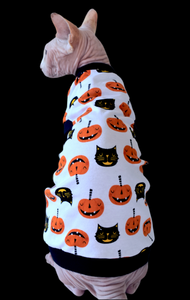 Sphynx Halloween Cat Clothes | Black Cat Pumpkin Cream Style