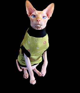 Sphynx  Cat Clothes |  Thermal Green Style