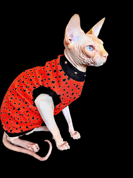 Sphynx Halloween Cat Clothing | Halloween Star Style