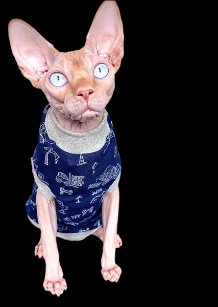 Sphynx Cat Clothes |  Construction Navy Style