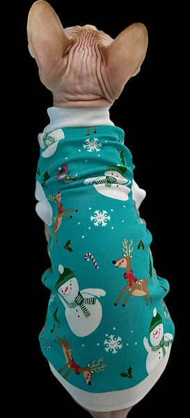 Sphynx Cat Clothes | Teal Snowman