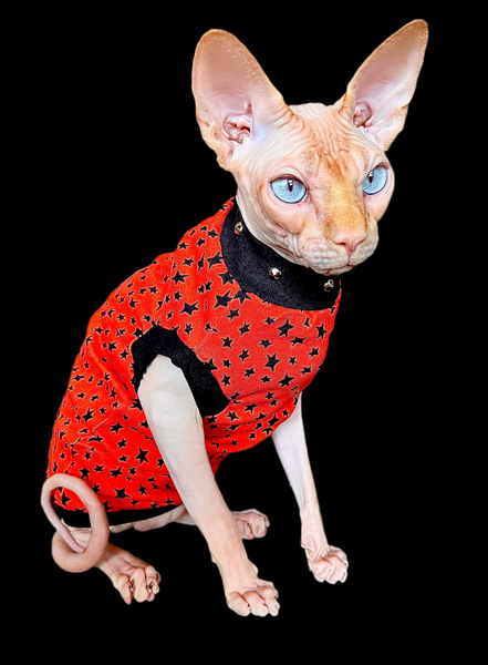 Sphynx Halloween Cat Clothing | Halloween Star Style