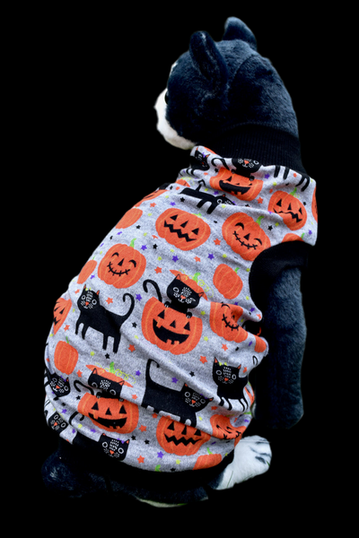 Sphynx Halloween Cat Clothing | Black Cat Pumpkin Gray (No Studs) Style