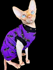 Sphynx Halloween Cat Clothing | Bats Purple Style