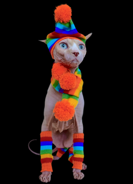 Sphynx Vibes Cat Hat | Scarf | Leg Warmers | Rainbow Style