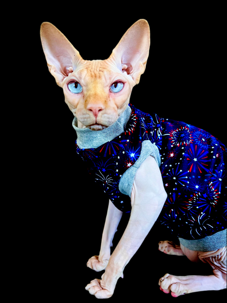 Sphynx Fourth Of July Cat Clothes | Popsicle Style