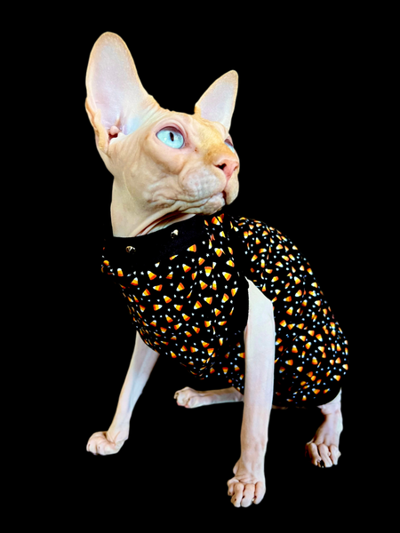 Sphynx Halloween Cat Clothing | Candy Corn Style