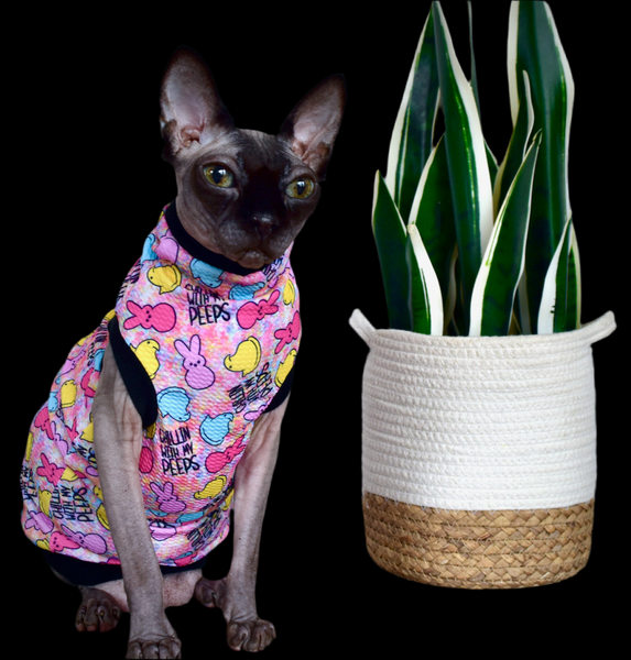 Sphynx Easter Cat Clothes |  Chillin With My Peeps Style