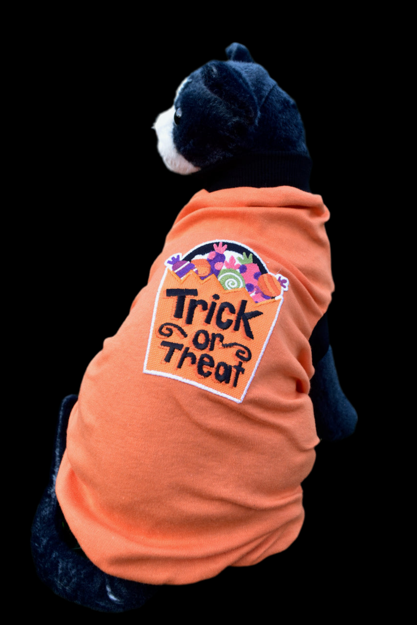 Sphynx Halloween Cat Clothes | Treats Style