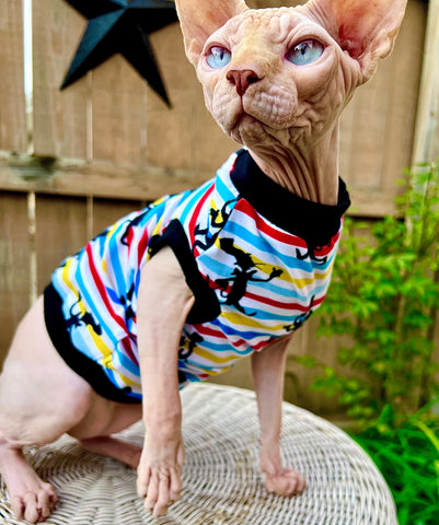 Sphynx Cat Clothes |  Top Hat Style
