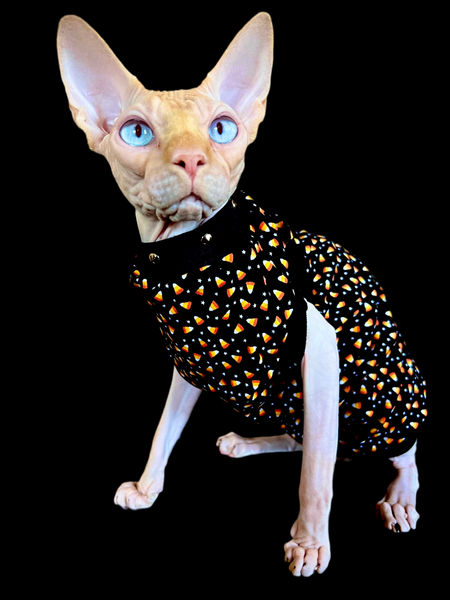 Sphynx Halloween Cat Clothing | Candy Corn Style