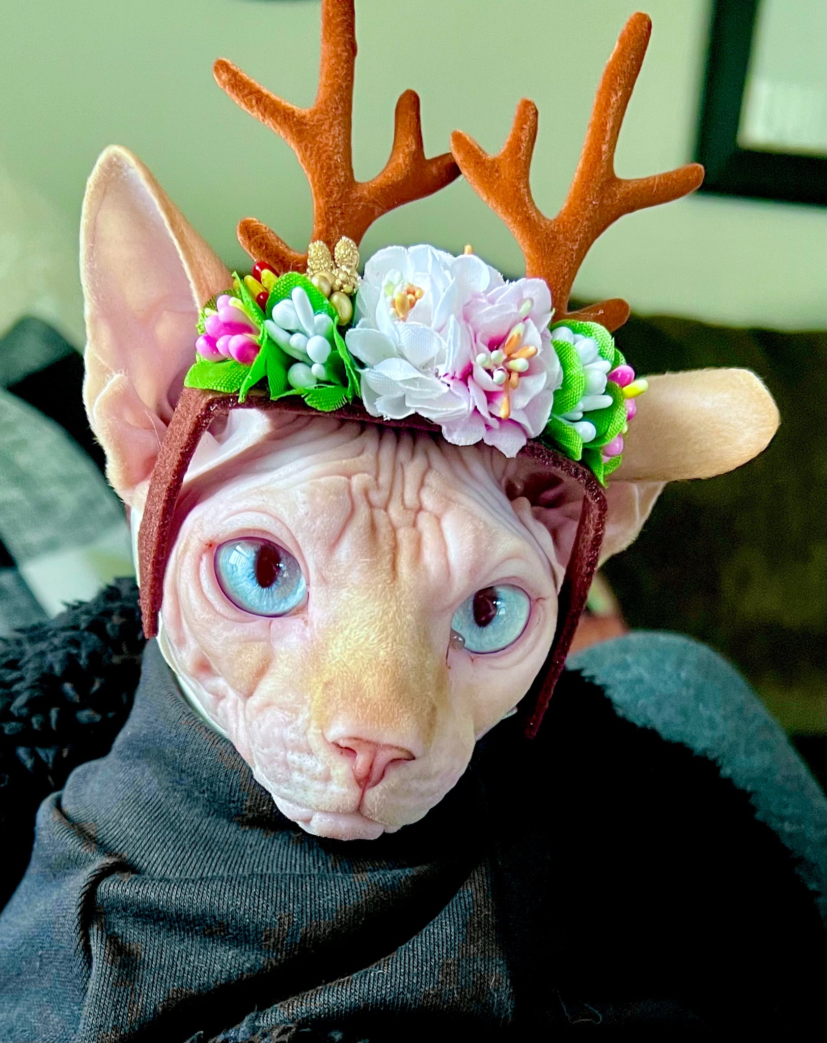 Sphynx Deer Cat Hat  Brown Style