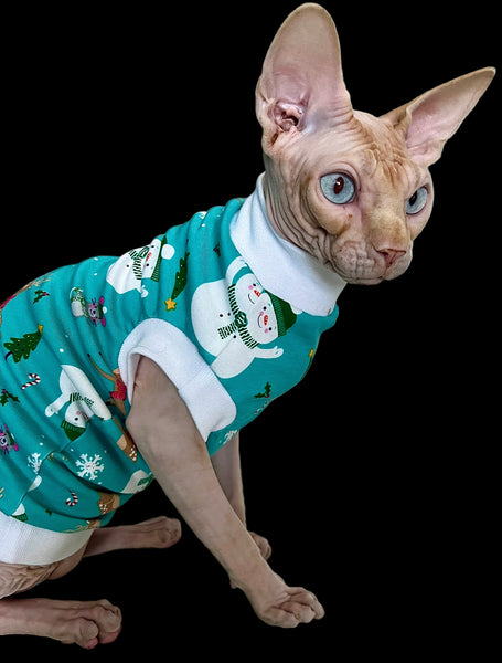 Sphynx Cat Clothes | Teal Snowman