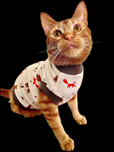 Sphynx Cat Clothes | Fall Bear & Fox