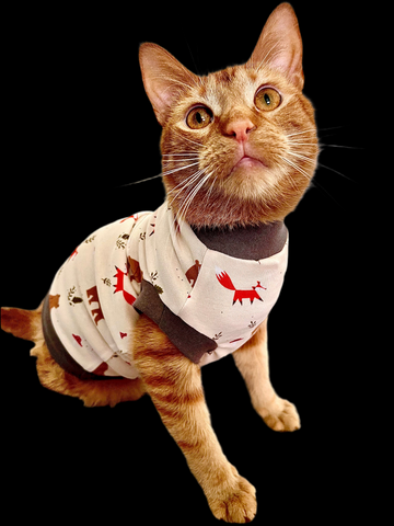 Sphynx Cat Clothes | Fall Bear & Fox