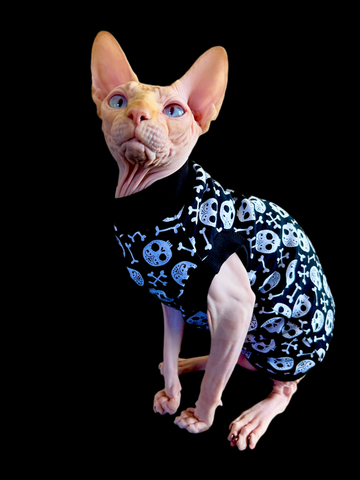 Sphynx Halloween Cat Clothes | Dia De Los Muertos Style