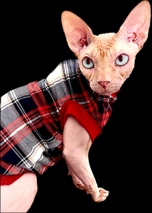 Sphynx Cat Clothes | Red & Navy Plaid