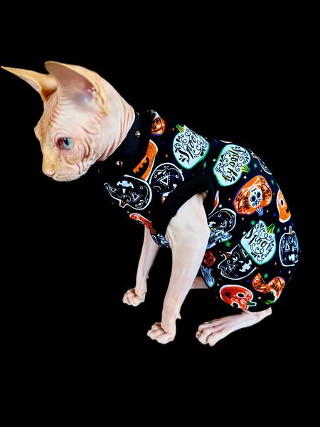 Sphynx Halloween Cat Clothing | Spooky Style