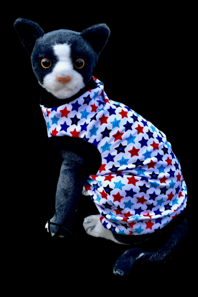 Sphynx Fourth Of July Cat Clothes | Patriot Stars Style