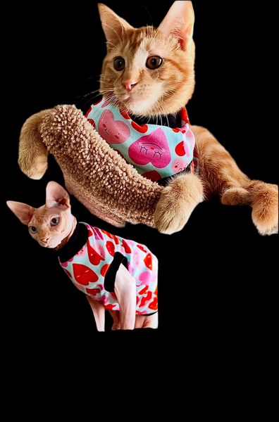 Sphynx Cat Clothes |  Hearts