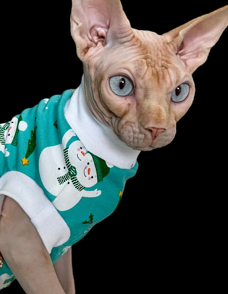 Sphynx Cat Clothes | Teal Snowman