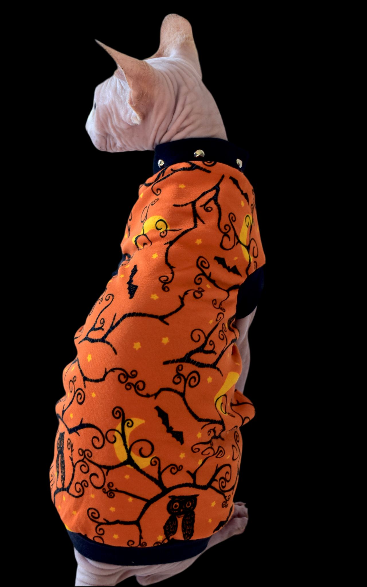 Sphynx Halloween Cat Clothing | Owl Orange Style