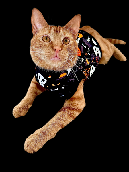 Sphynx Cat Clothes |  Dark Halloween