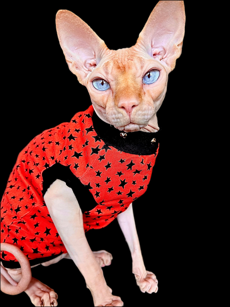 Sphynx Halloween Cat Clothing | Halloween Star Style