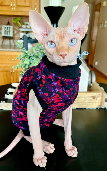 Sphynx Christmas Cat Clothes |  Fuzzy Fall Berry Style
