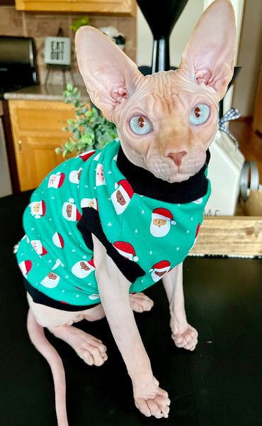 Sphynx Christmas Cat Clothes |  Green Santa Style