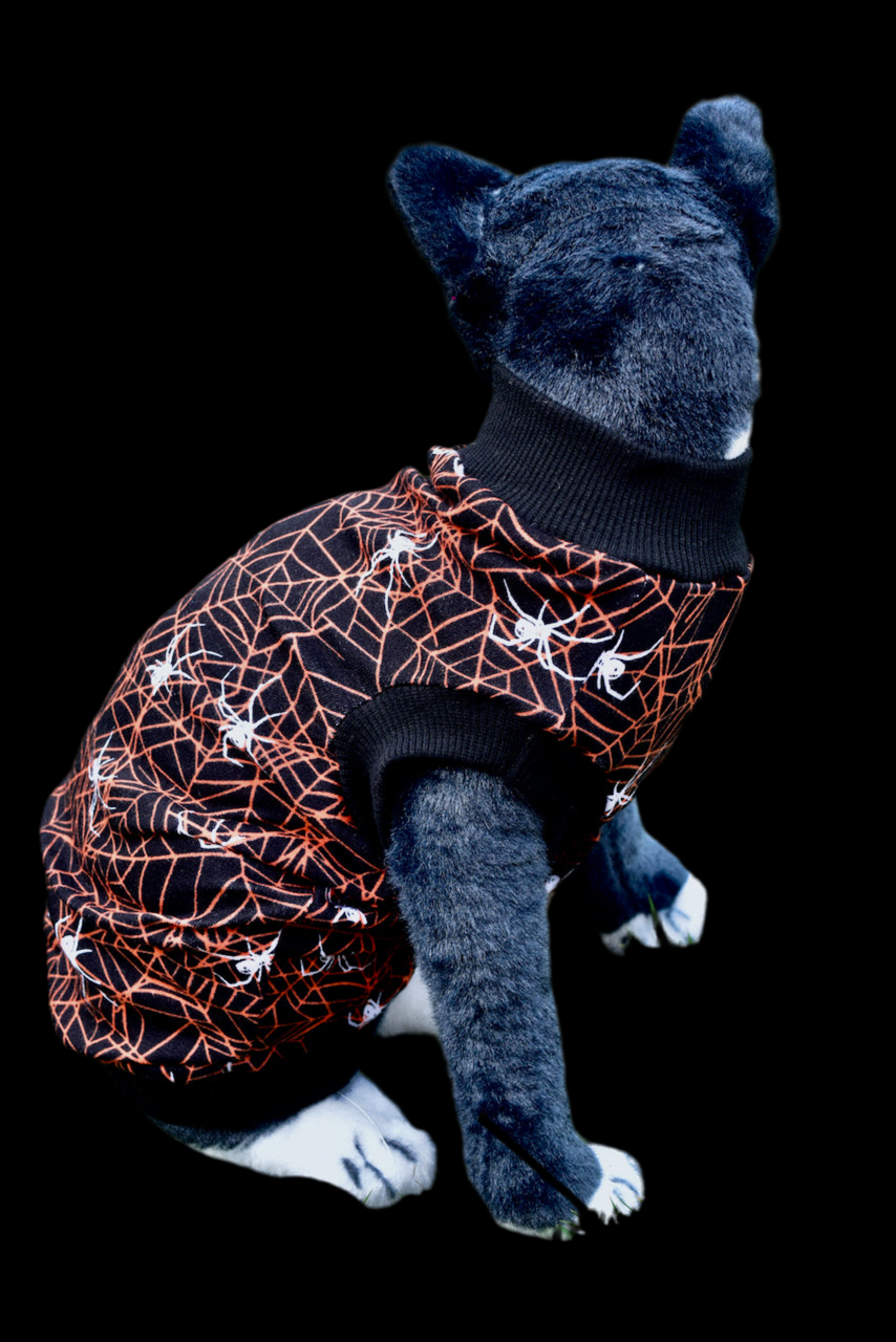 Sphynx Halloween Cat Clothing | Spider (NO STUDS) Style