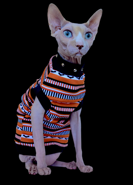 Sphynx Halloween Cat Clothing | Trick Or Treat Style