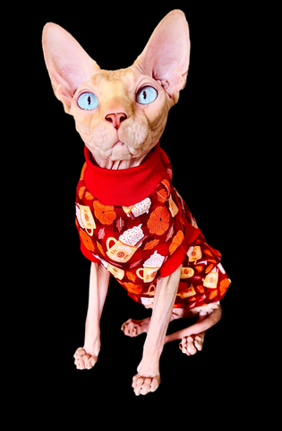 Sphynx Cat Clothes |   Pumpkin Spice Latte