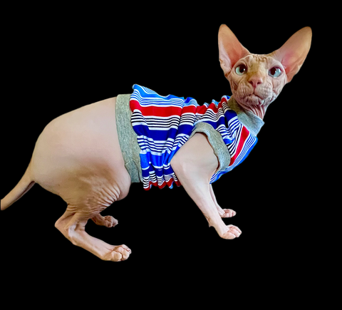 Sphynx Fourth Of July Cat Clothes | American Stripes Style