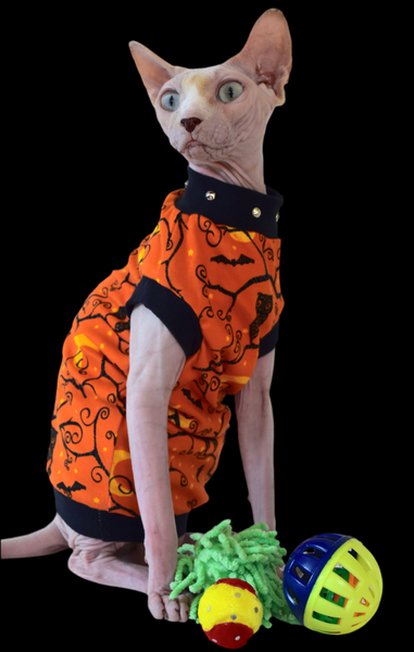 Sphynx Halloween Cat Clothing | Owl Orange Style