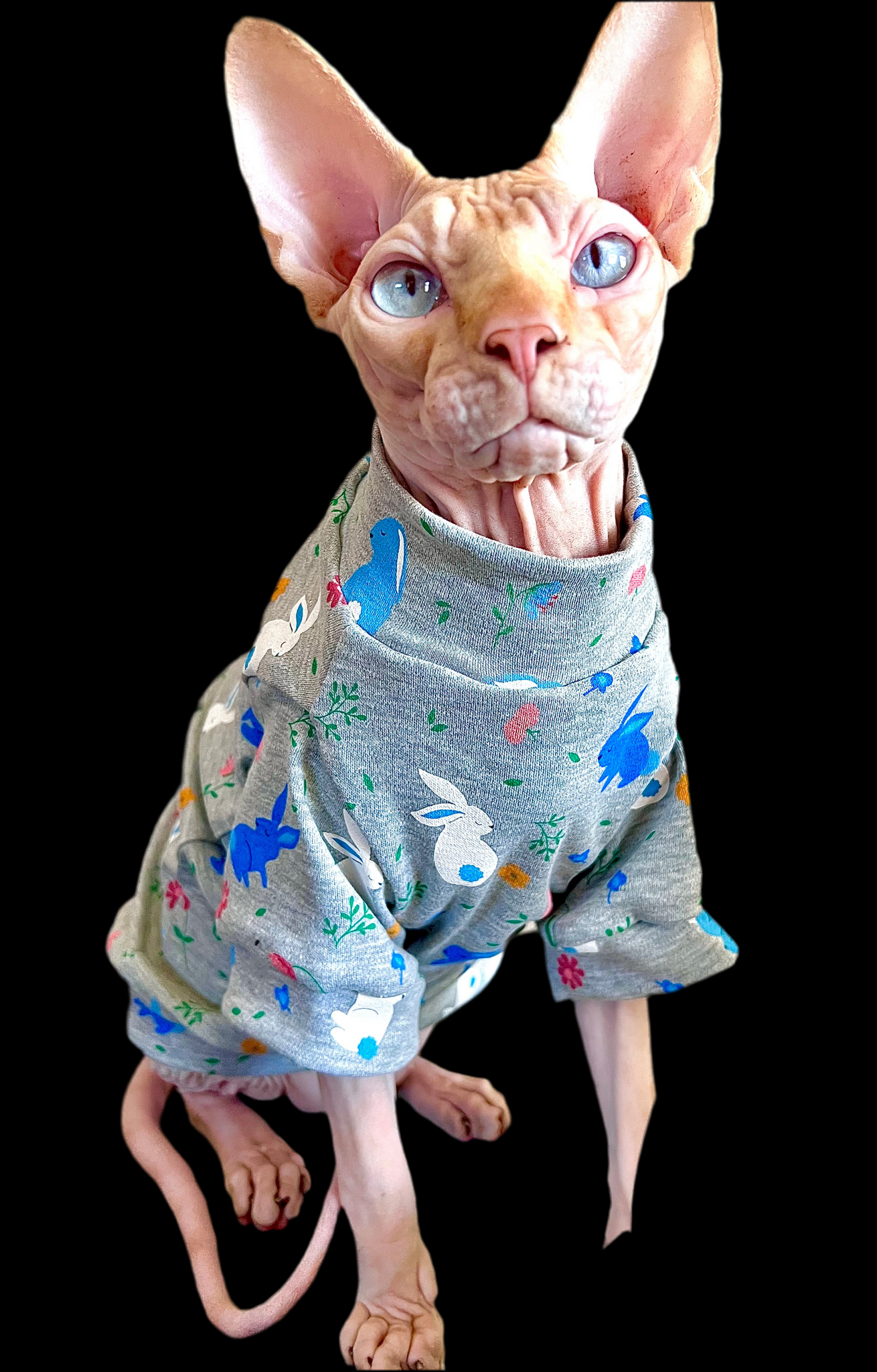 Sphynx Cat Clothes | Bun Bun UV Protecting Fabric