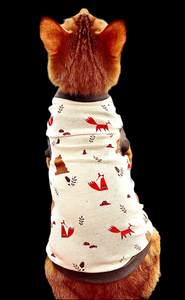 Sphynx Cat Clothes | Fall Bear & Fox