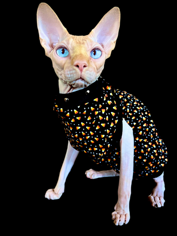 Sphynx Halloween Cat Clothing | Candy Corn Style