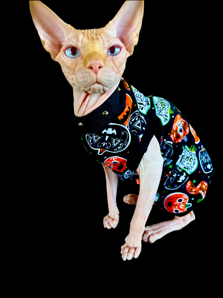 Sphynx Halloween Cat Clothing | Spooky Style