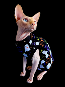 Sphynx Halloween Cat Clothing | Boo Style