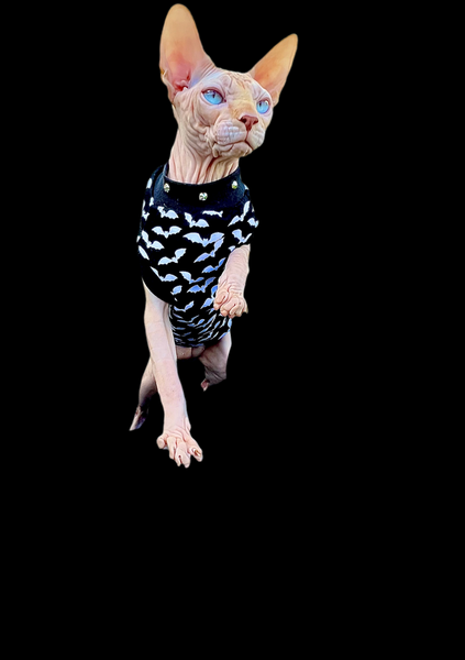 Sphynx Halloween Cat Clothing | Bats Black & White Style