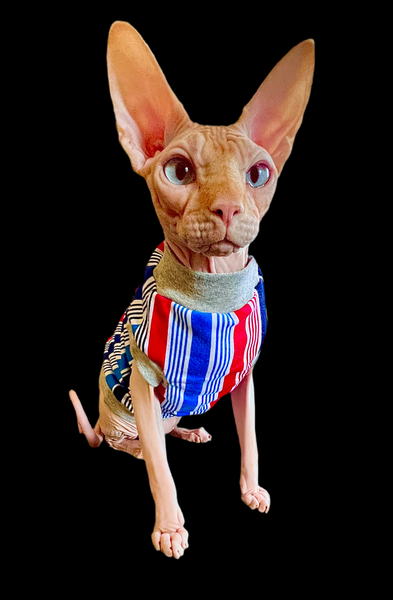 Sphynx Fourth Of July Cat Clothes | American Stripes Style