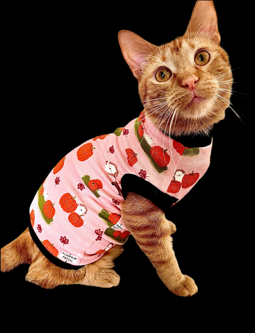 Sphynx Cat Clothes | Peach Pumpkin