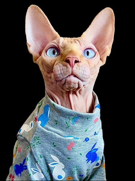 Sphynx Cat Clothes | Bun Bun UV Protecting Fabric